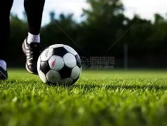 揭秘英超球,场背后的神,秘联络网,乐鱼体育,乐鱼体育,LeYu,Sports,乐鱼体育官网