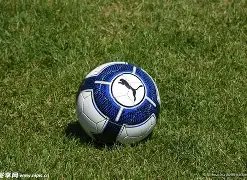 乐鱼体育,资讯,LeYu,乐鱼体育,乐鱼体育,LeYu,Sports,乐鱼体育官网