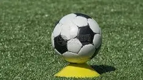 乐鱼体育 资讯 172838 6y2