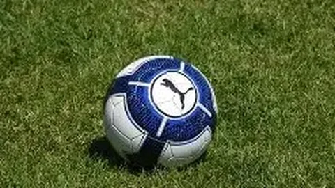 乐鱼体育 资讯 172816 p8p