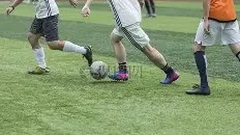 乐鱼体育 资讯 172808 594