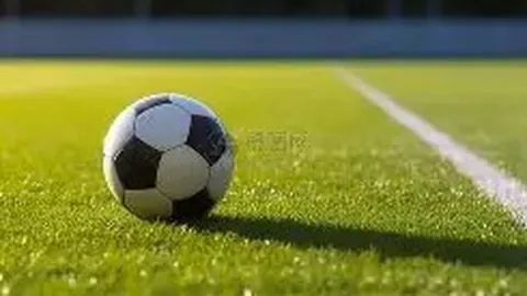 乐鱼体育 资讯 172906 67v