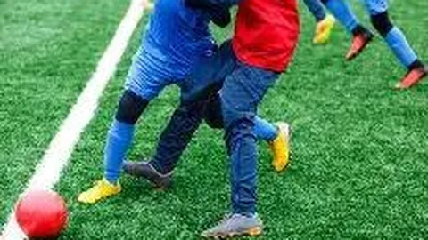 乐鱼体育 资讯 172915 7we