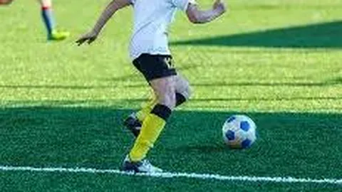 乐鱼体育 资讯 084028 g9i