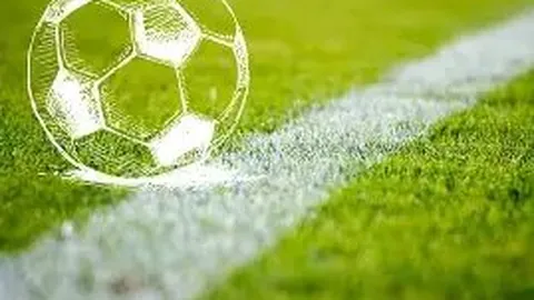 乐鱼体育 资讯 084113 yzv